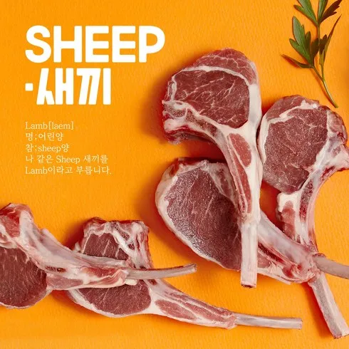 방송상품 고메프리미엄 프렌치랙 양갈비 250g x 6팩시즈닝4종 역대급 혜택