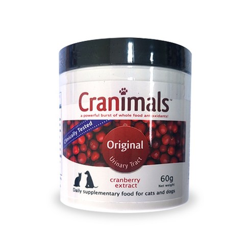 홈쇼핑완판 대명 아임레디 THE 행복한 플랜 신상특집