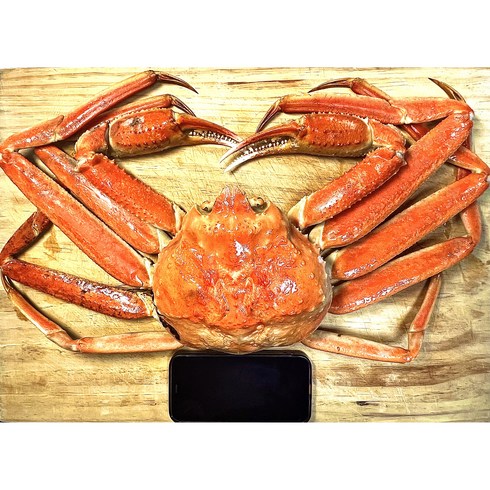 장안의 화제 러시아산 프리미엄 특大사이즈 킹크랩 4팩 최저가!