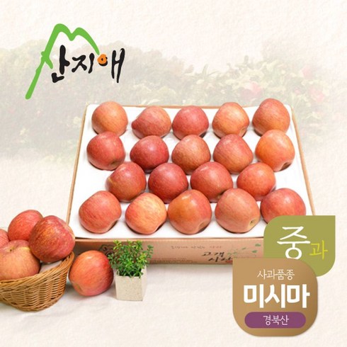 뜨끈뜨근 미시마 사과 5.4kg   중과 할인 특집전