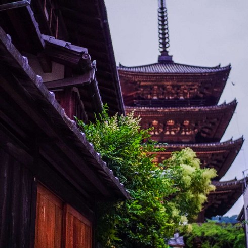 FW특집 오사카 4일 패키지 혜택ON