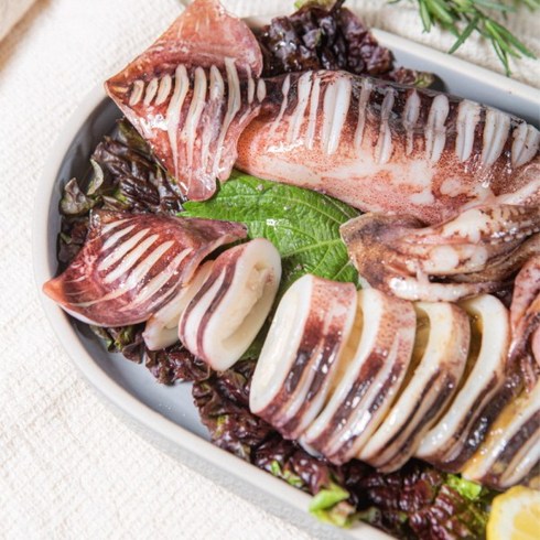 FW특집 자연산 손질 통오징어 20마리260gX10팩 역대급 혜택