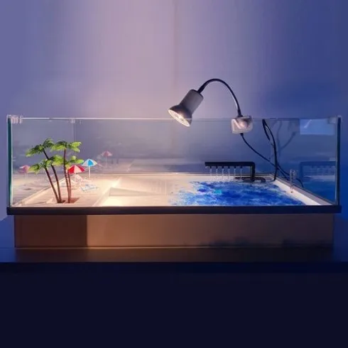 입소문 타기전 거북이수조 할인 특집전