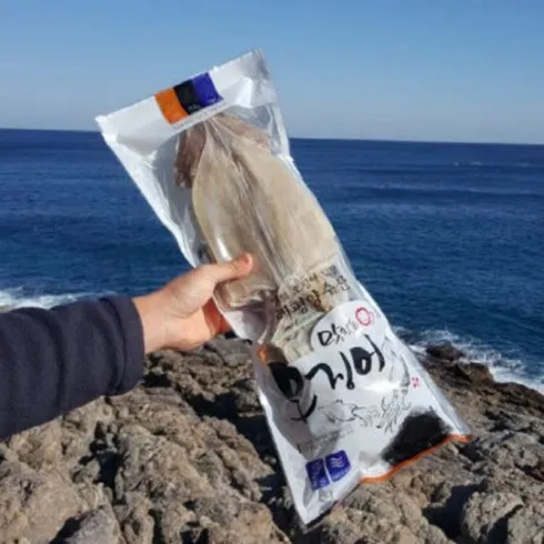 정말 보기만 하실껀가요? 구룡포 마른 오징어 50g x 10미  총 500g_3 시크릿특가