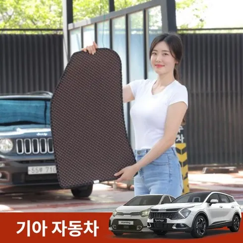 안사면 후회할 것 같은 더원 4세대 프리미엄 카매트 BEST&HOT아이템 선정