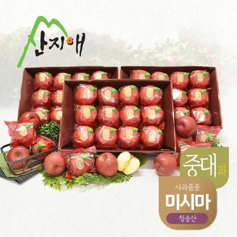 입소문 타기전 산지애 사과 9kg   청송 미시마 세척사과 역대급최저가