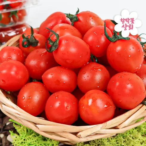지나치면 후회하는 스테비아 대추방울토마토 2kg  덕후 모여라