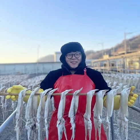 보고만 있기엔 아까운 영덕 반건조 피데기오징어 2.5kg  BEST&HOT아이템 선정