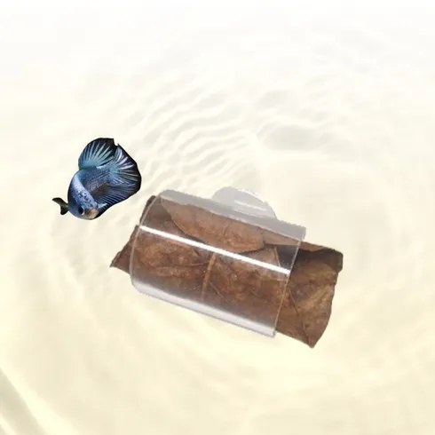 이번 명절선물은 바로 베타키우기 덕후 모여라