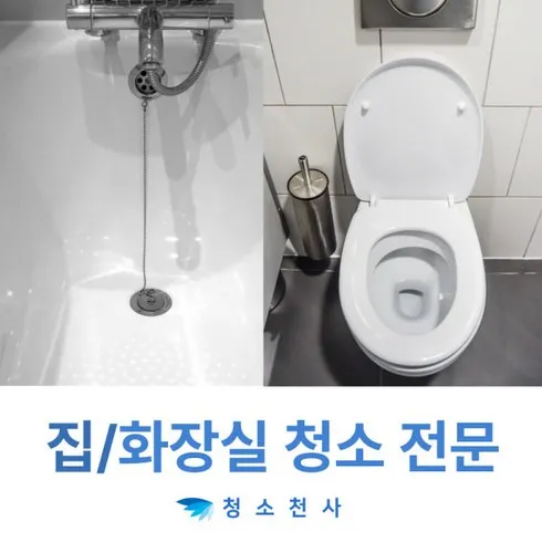 인플루언서가 추천한 명절선물 아파트이사청소비용 단 하루의 혜택