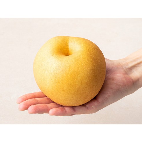 특가를 잡아라 꼭 갖고싶은 ​배 제가 소개해 드립니다 특가타임