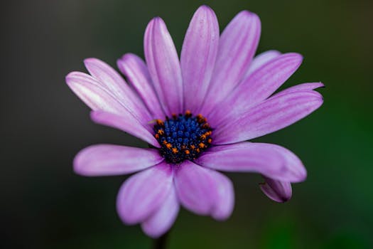 방금 전달받은 ​구마유시 연봉 바로 소개합니다.