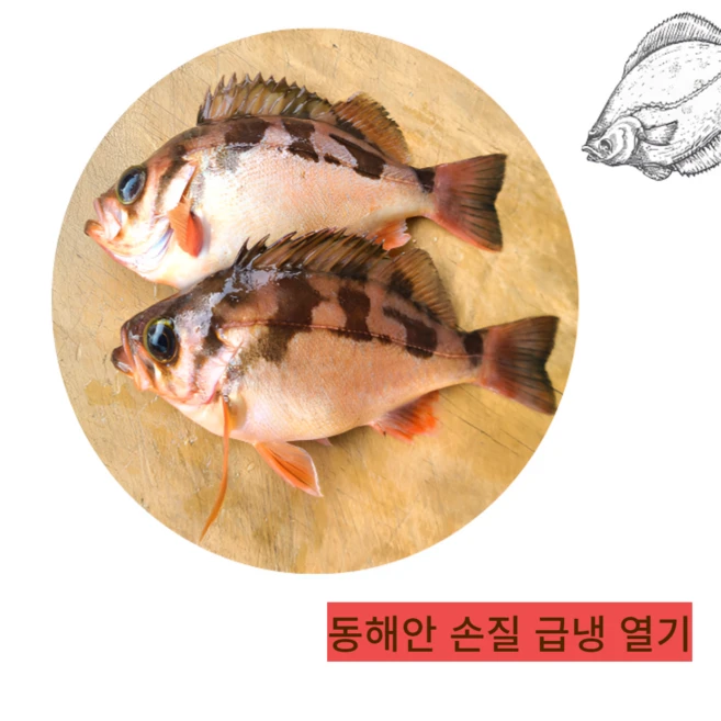 지금 당장 확인해야하는 이유 꼭 갖고싶은 ​박정수 두툼 순살볼락 제가 소개해 드립니다