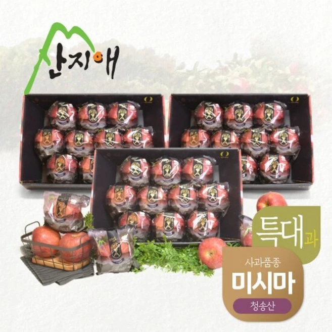 美친 소식 꼭 갖고싶은 ​산지애 사과 9kg 제가 소개해 드립니다