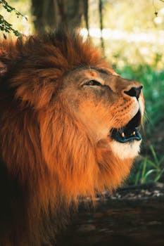 모두가 궁금했던 ​생존왕 김민지 놓치지마세요