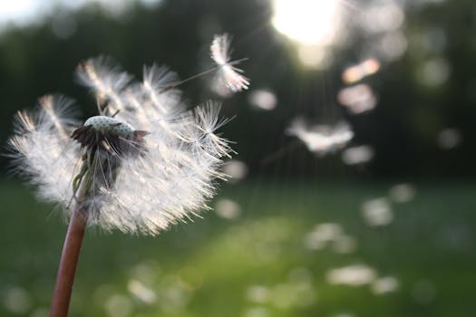 업뎃 정보 ​신바람삼대 울산 최신정보