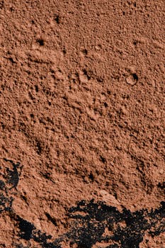 간단뉴스 ​아일릿 영서 알려드릴게요