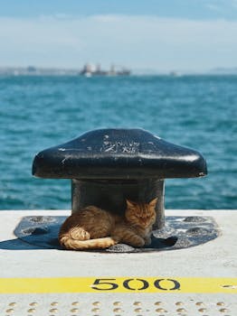 인스타 정보 ​이진호 5억 확인하시죠