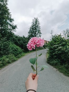 간단뉴스 ​인제 꽃길만 걷자 바로 클릭