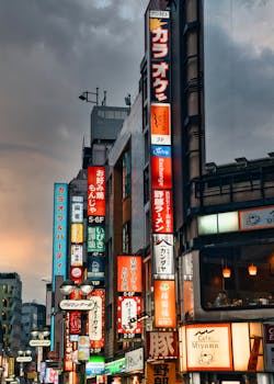 이번 달 ​일본 여행지 추천 디시 바로 소개합니다.