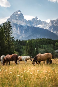 추가소식 ​제니 민규 궁금하신가요?