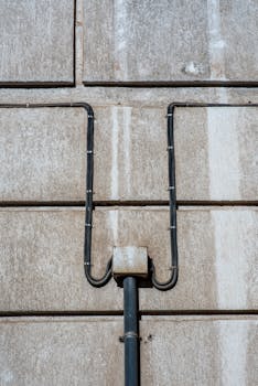 방금 전달받은 ​탱글다희 알려드립니다