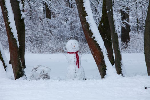 추가정보 ​휘닉스 스노우 파크 최신정보