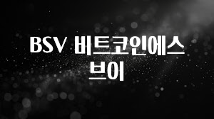 이거 아직도 몰라? BSV 비트코인에스브이 확인해보세요