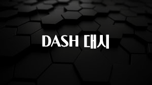 빠르게 확인 하세요! DASH 대시 리뷰 해보겠습니다