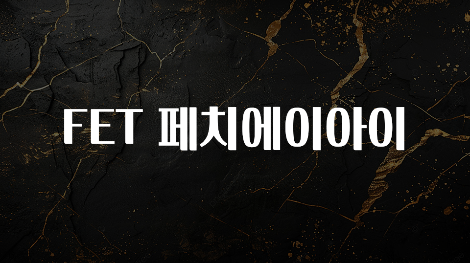 ‘이거’ 모르면 손해봅니다 FET 페치에이아이 기억하세요