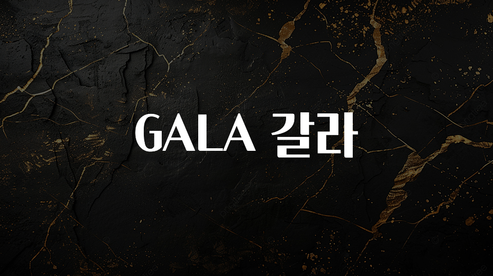꾸준한 인기 GALA 갈라 1분이면 확인가능 합니다