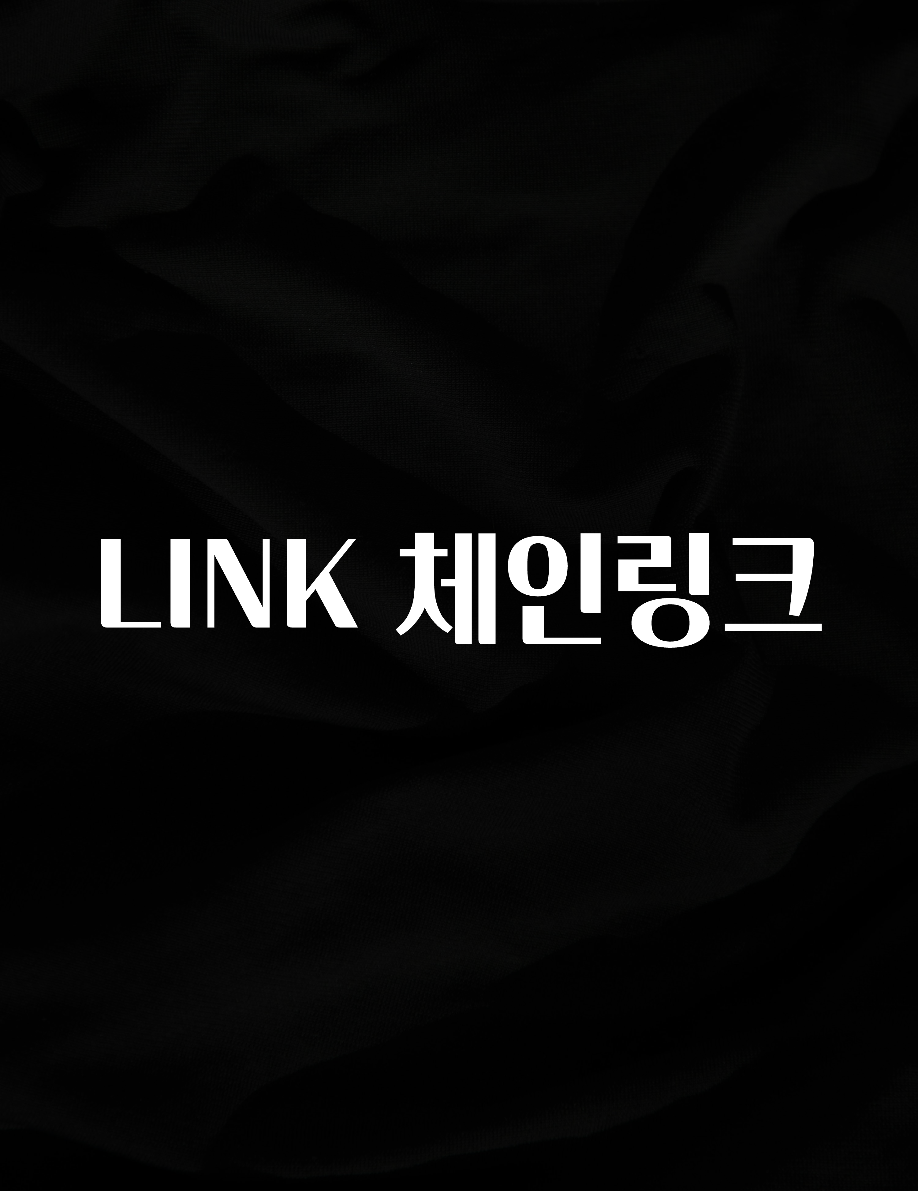 빼박 필수 LINK 체인링크 지금떳다