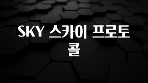 추가소식은 꼭 확인하자 SKY 스카이 프로토콜 관심이 뜨겁습니다