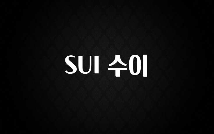 인플루언서가 공개한 SUI 수이 클릭해보세요