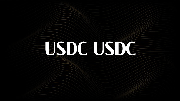 꾸준한 인기 USDC USDC 확인해보세요