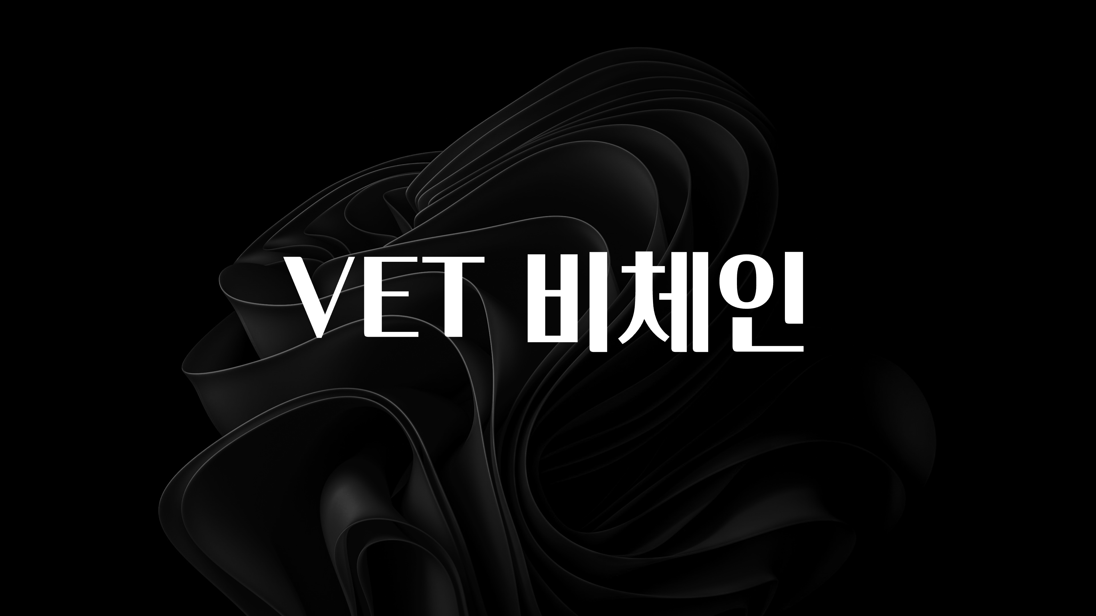 sns소식 VET 비체인 실사용 후기
