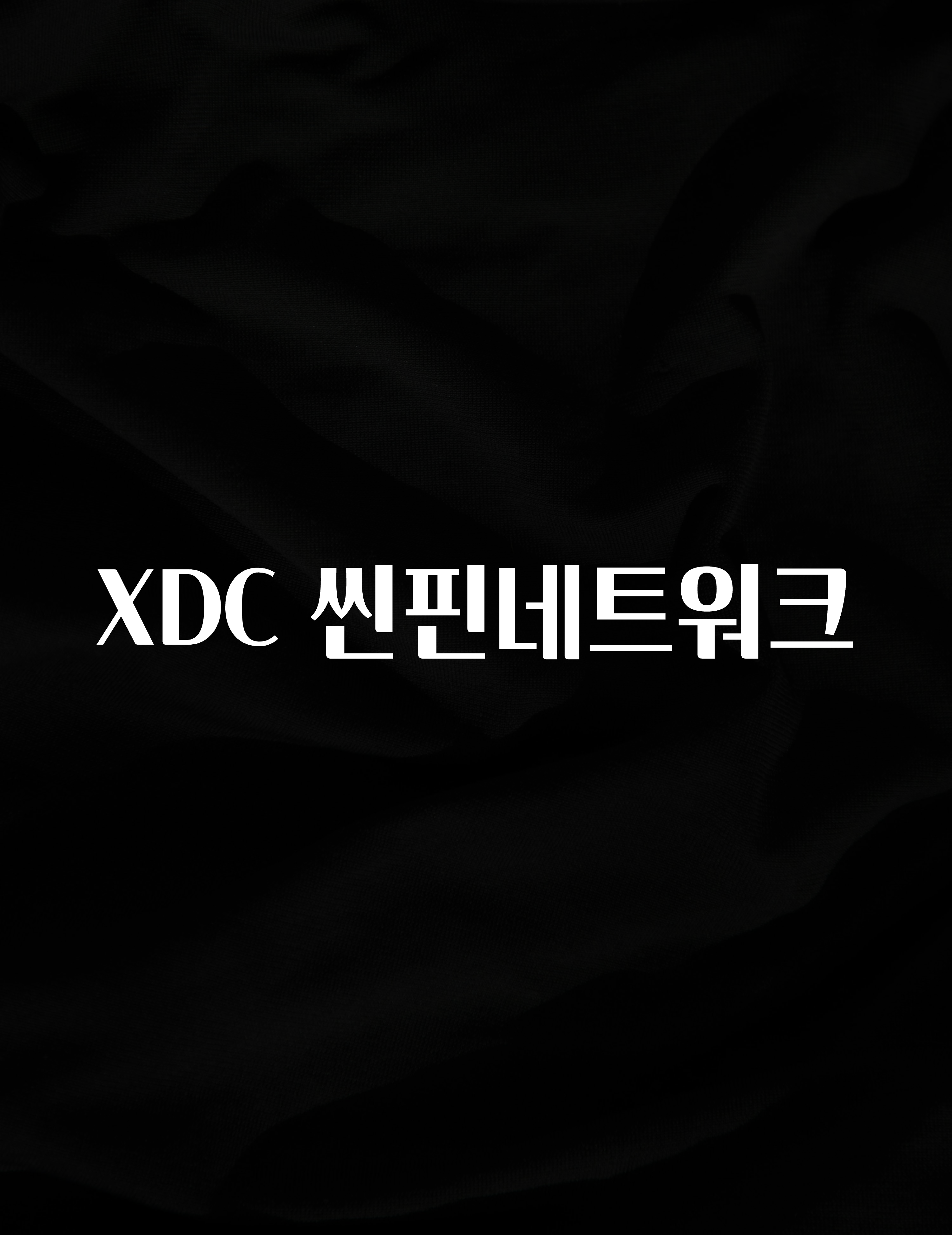 궁금한 소식 XDC 씬핀네트워크 알짜배기만 골라가세요