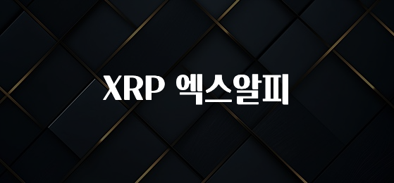 정성가득 선물 XRP 엑스알피 요약본만 확인해보세요