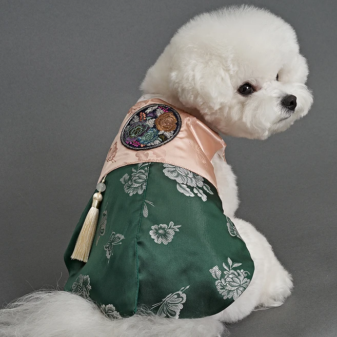 이거 아직도 몰라? 꼭 갖고싶은 ​강아지한복 제가 소개해 드립니다 요약정리