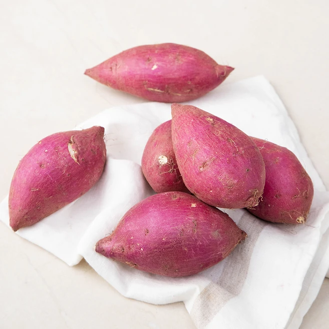 좋은 정보 꼭 갖고싶은 ​고구마 제가 소개해 드립니다