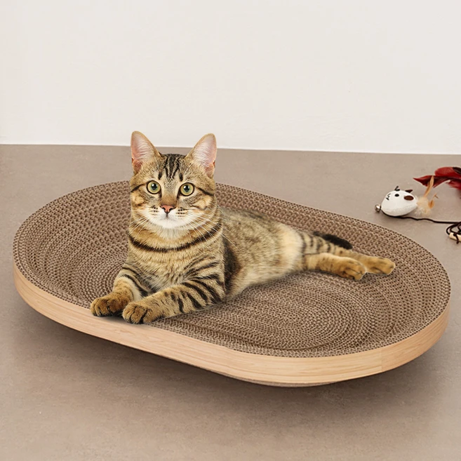 사랑을 담은 선물 꼭 갖고싶은 ​고양이스크래쳐 제가 소개해 드립니다 한 번에 알려드립니다