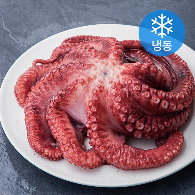 NEW 떳음 꼭 갖고싶은 ​문어 제가 소개해 드립니다