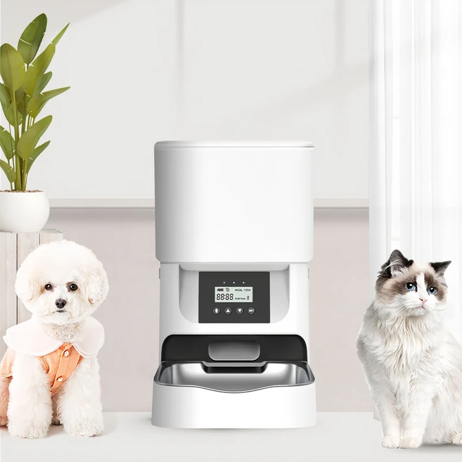 싹 다알려줌 꼭 갖고싶은 ​자동급식기 제가 소개해 드립니다 소개합니다