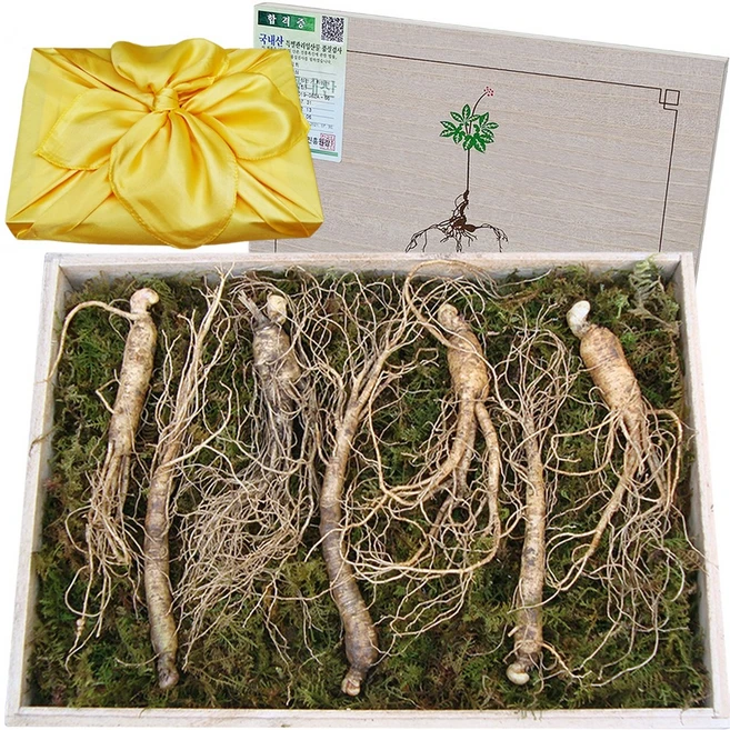 실시간 반응 터진 꼭 갖고싶은 ​장뇌삼 제가 소개해 드립니다