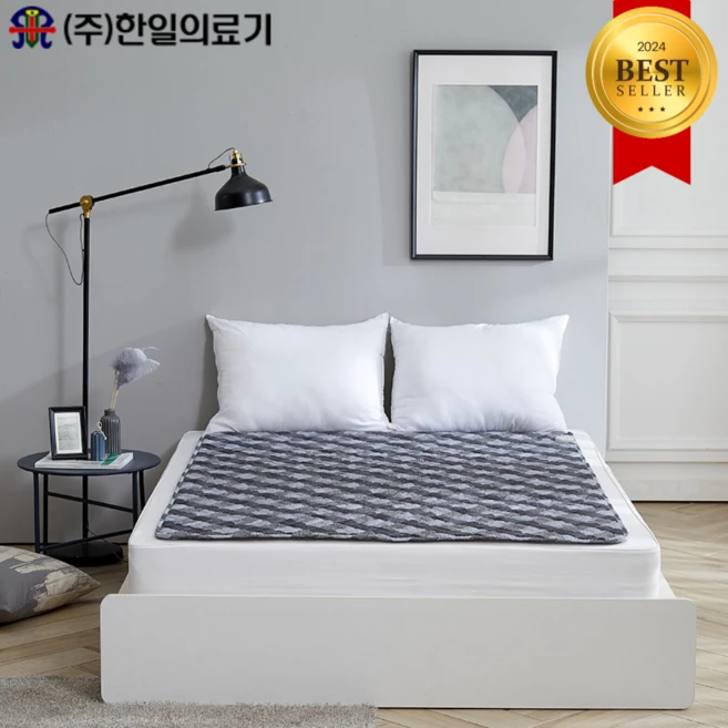 추가정보 떳다 꼭갖고싶은전기장판제가소개해드립니다 요약정리