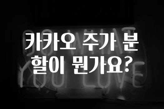 요즘 이게 유행 카카오주가분할이뭔가요? 지금 바로 공개합니다