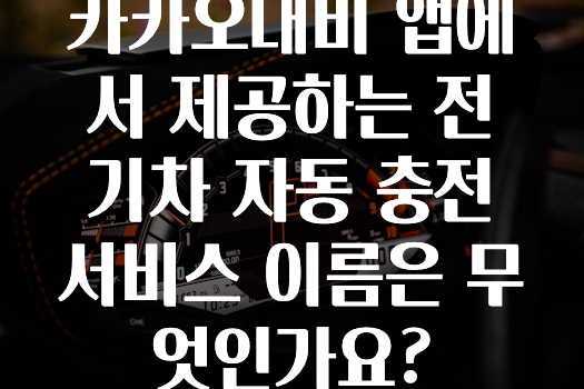 추가소식 카카오내비앱에서제공하는전기차자동충전서비스이름은무엇인가요? 궁금하시죠?