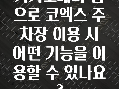 대박소식 카카오내비앱으로코엑스주차장이용시어떤기능을이용할수있나요? 확인 부탁드립니다