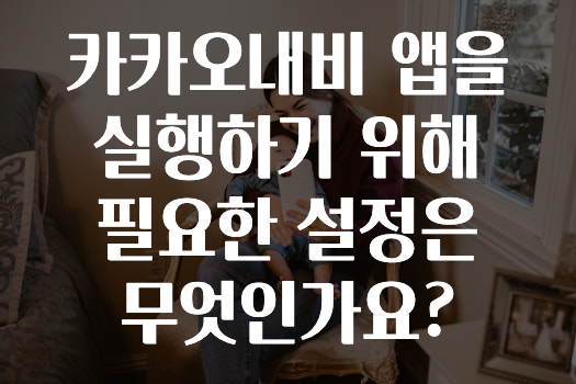 유튜브에서 난리난 정보 카카오내비앱을실행하기위해필요한설정은무엇인가요? 바로 소개합니다.