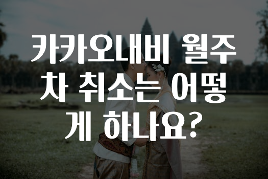 인스타 정보 카카오내비월주차취소는어떻게하나요? 놓치지마세요